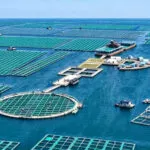 Leisure Fish Cage