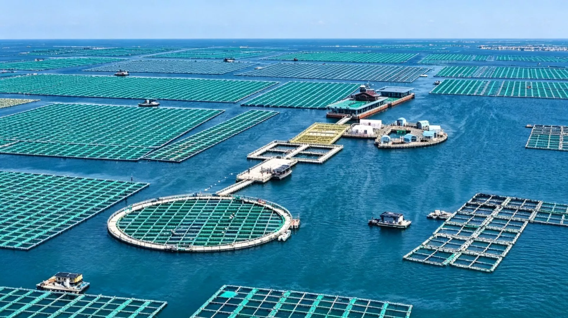 Leisure Fish Cage